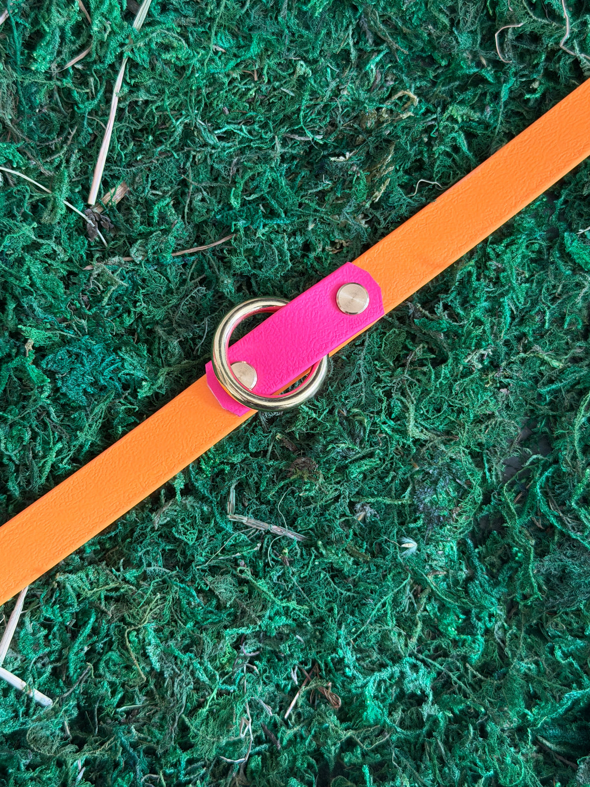 Leine "Buddy 1" - 2-fach verstellbare Biothane-Leine