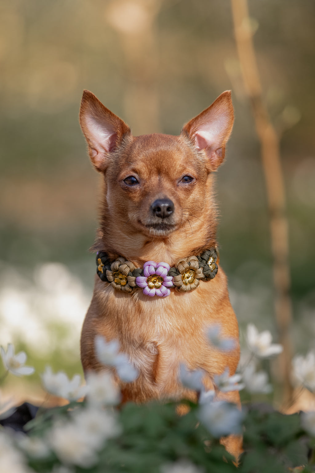 Halsband "Lucy"
